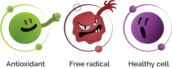 Free Radical, Antioxidant and healthy cell